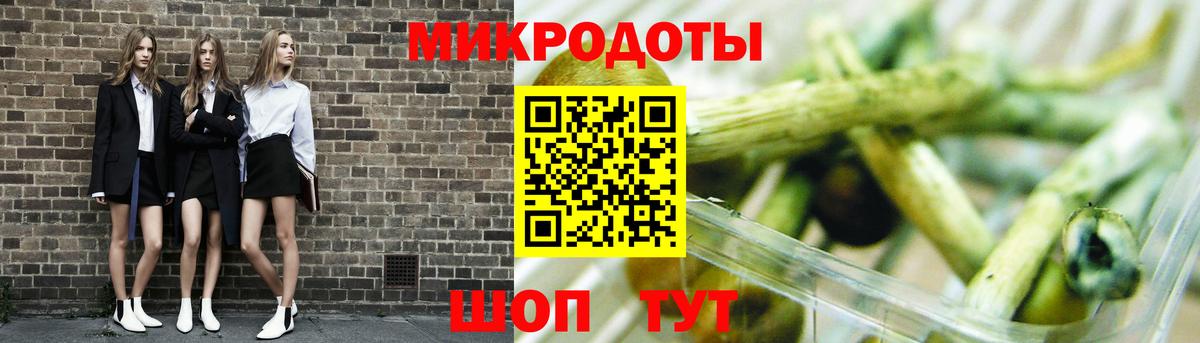 Псилоцибиновые грибы Psilocybine cubensis Кисловодск
