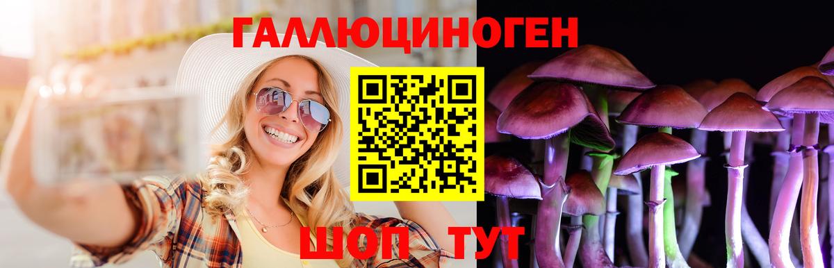 Кисловодск  Галлюциногенные грибы прущие грибы  Вход с VPN 